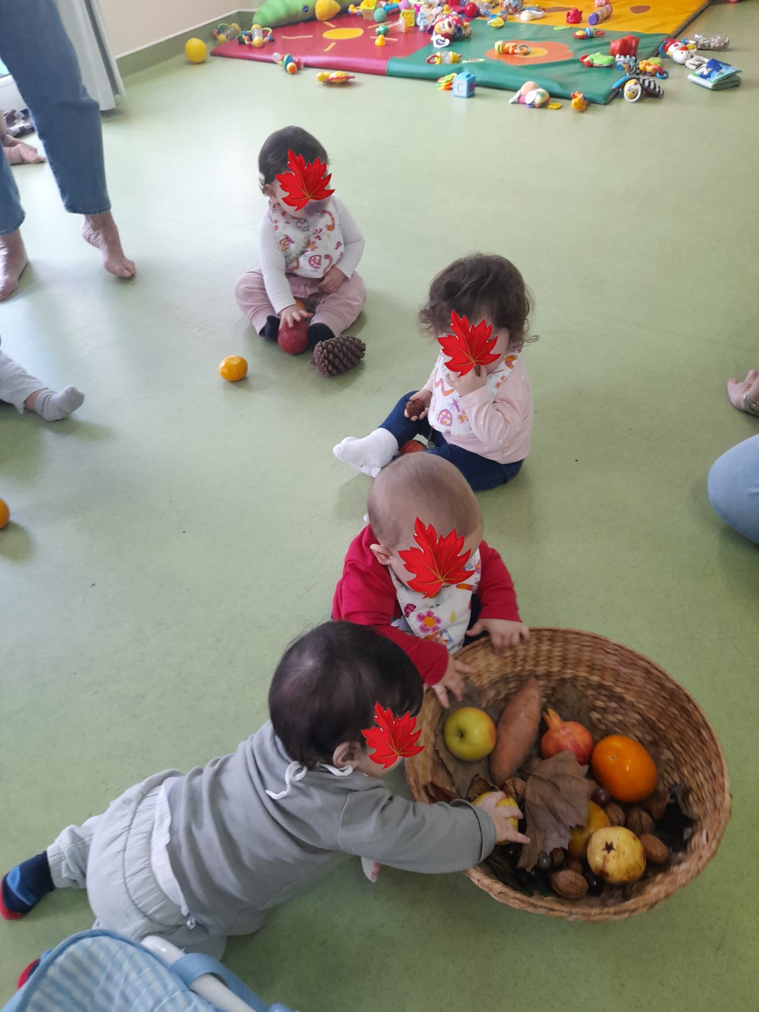 Alimentação saudável - Pintainhos , Coelhinhos